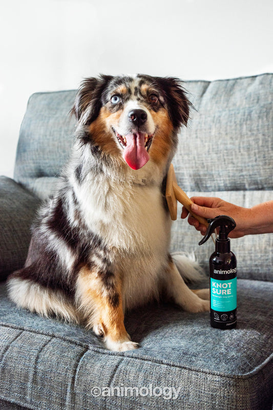 Animology Knot Sure De-Tangle Dog Spray 250 ml