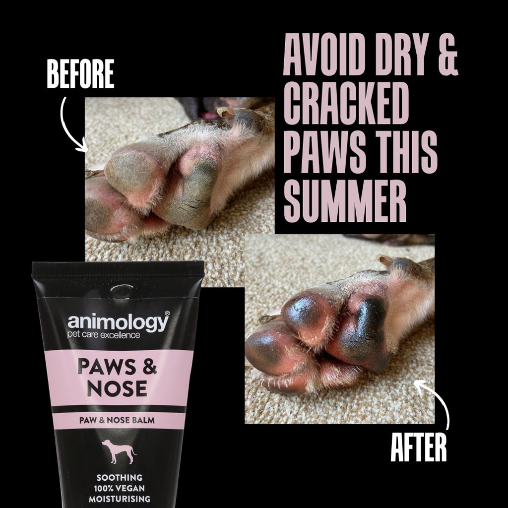 Animology Paws & Nose Balm 50 ml