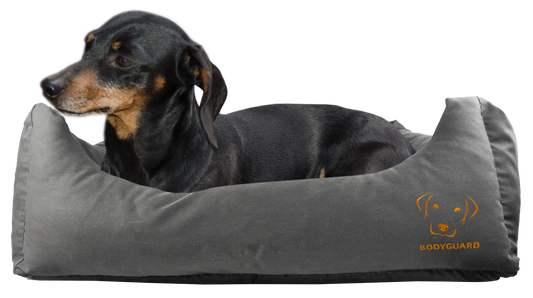 Bodyguard Sofa Bed Grijs S