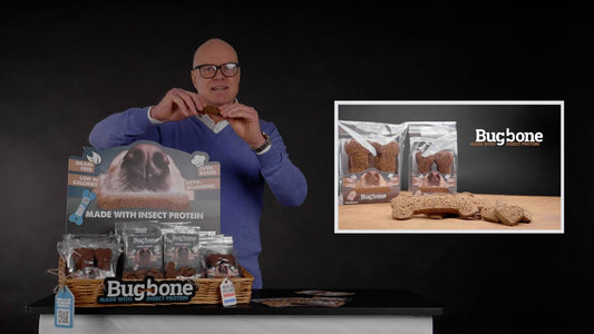 Bugbone Grootverpakking Trainer Snack 10 kg