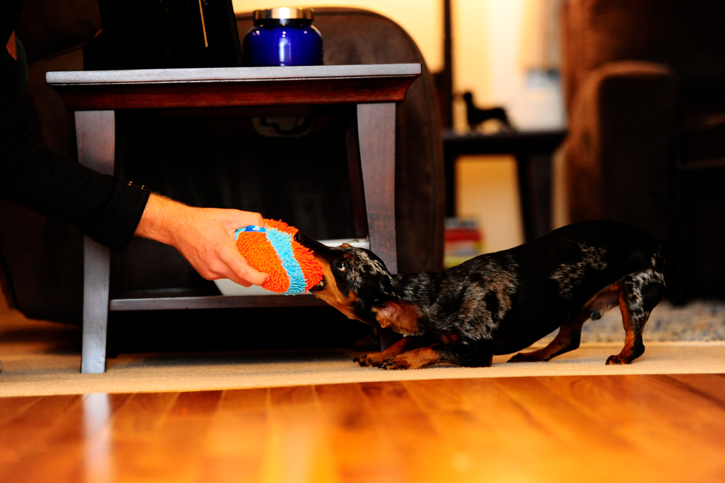 Chuckit! Indoor Ball