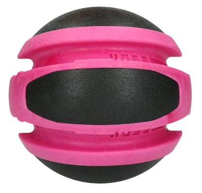 Dog Comets Planets Roze