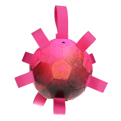 Dog Comets Hypernova Roze