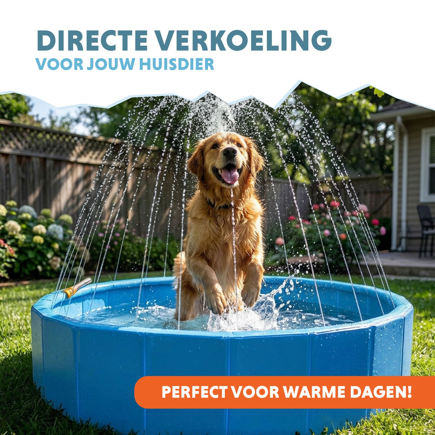 Coolpets Splash Sprinkler Pool
