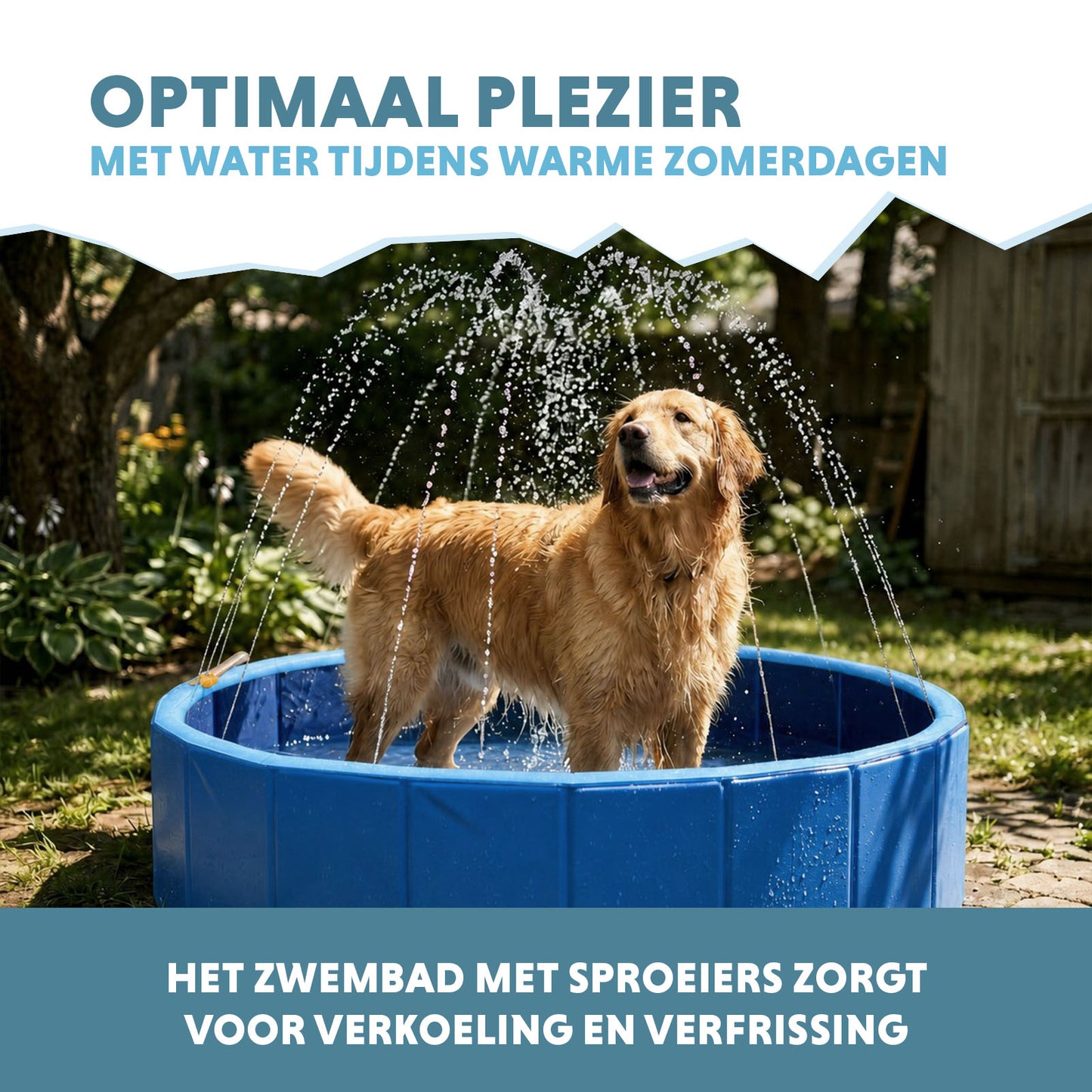 Coolpets Splash Sprinkler Pool