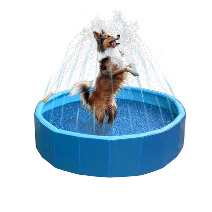 Coolpets Splash Sprinkler Pool