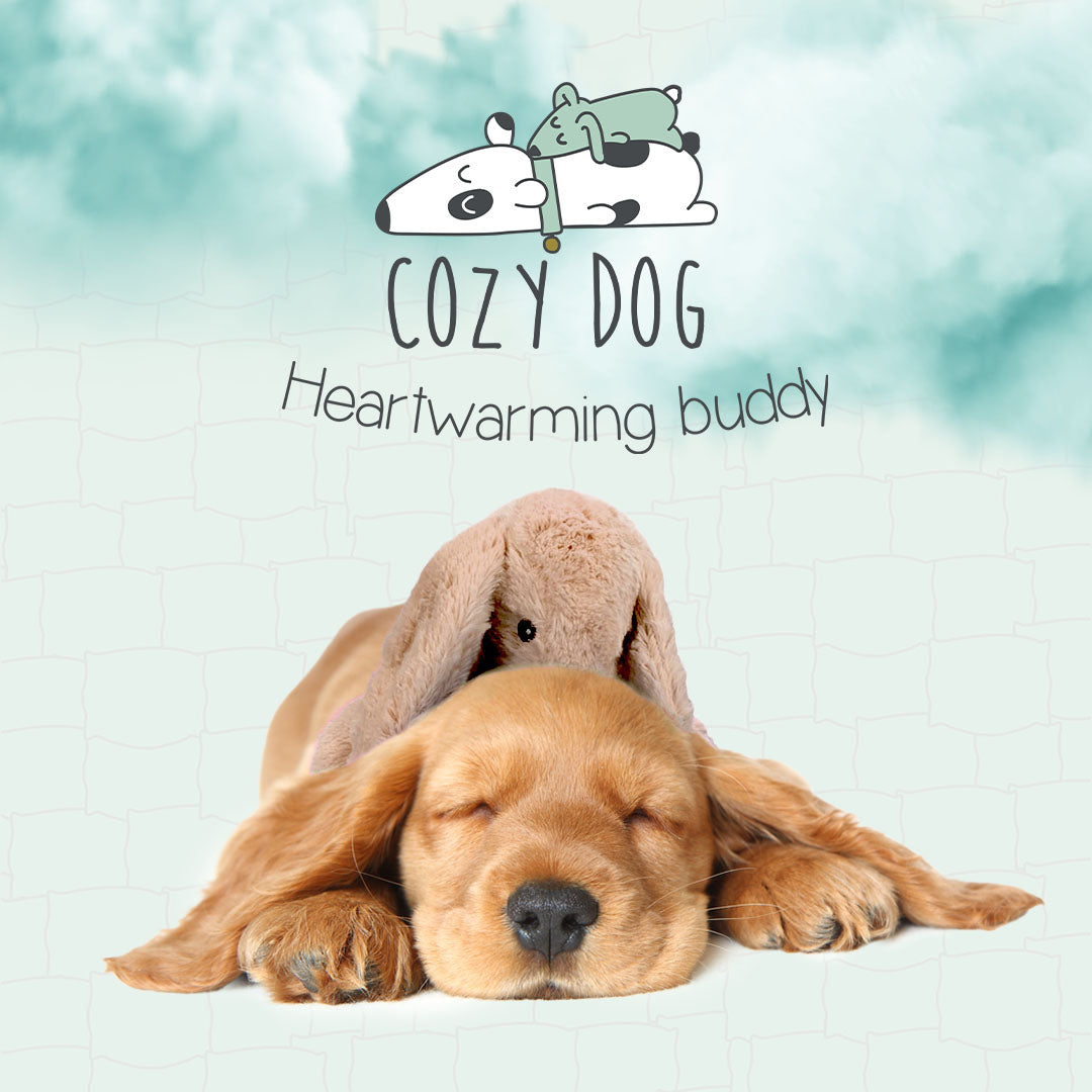 Cozy Dog Bunny Bruin
