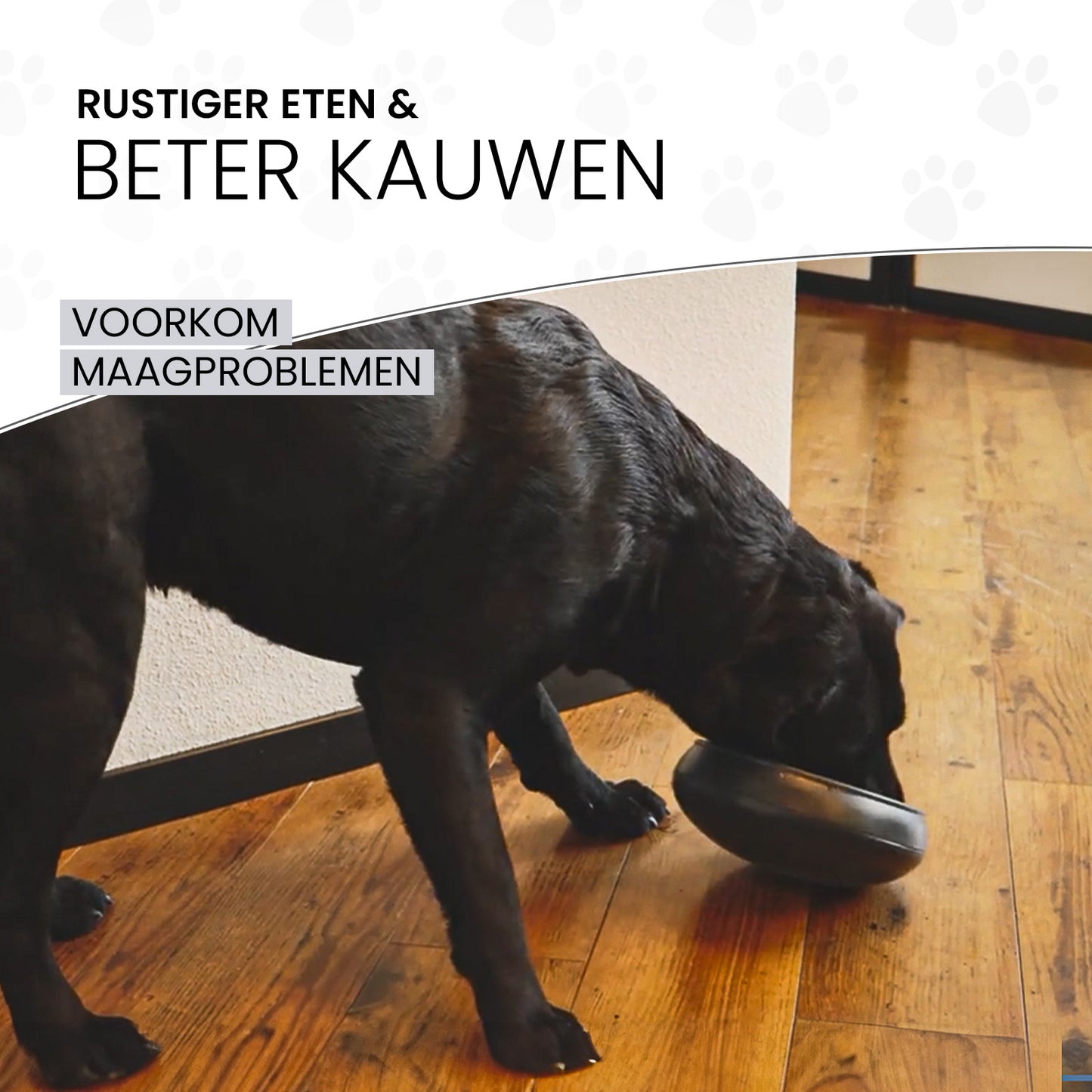 Eat Slow Live Longer Tumble Feeder Grijs