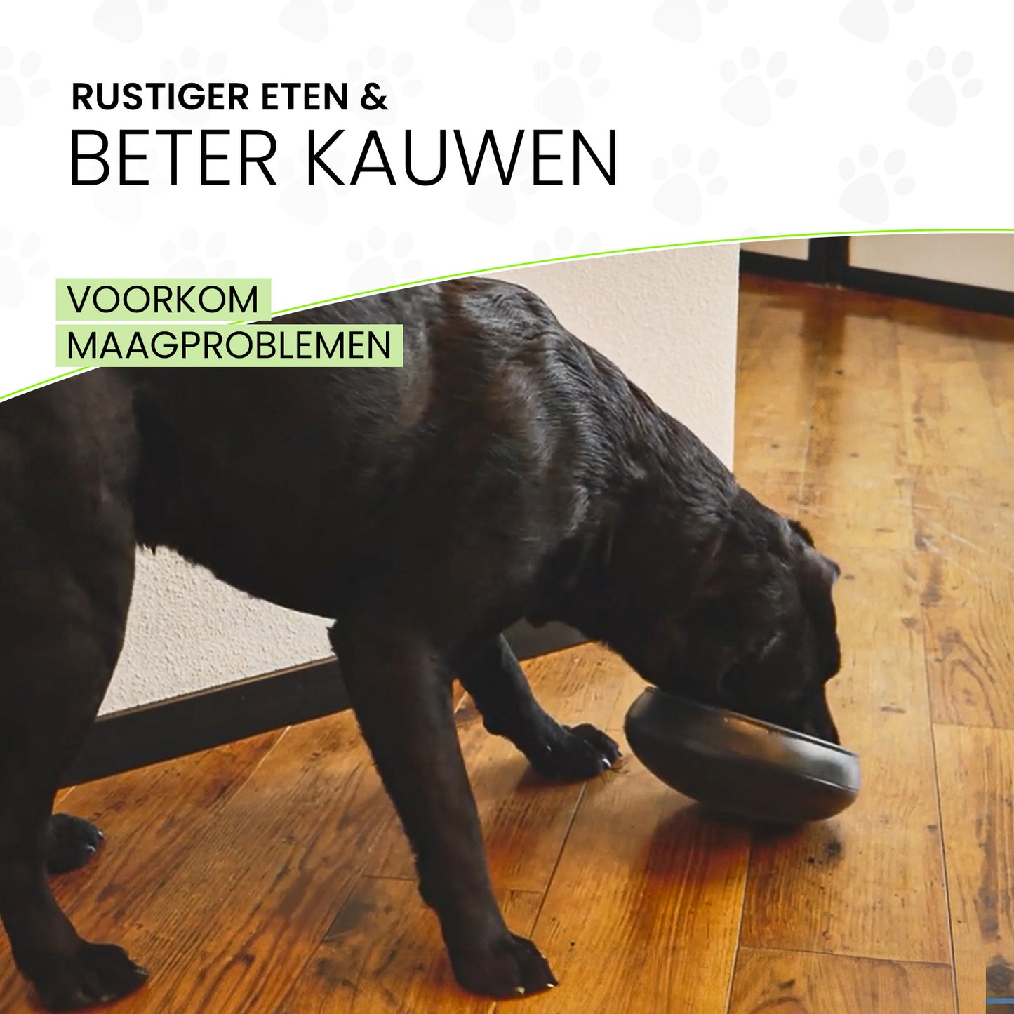 Eat Slow Live Longer Tumble Feeder Groen