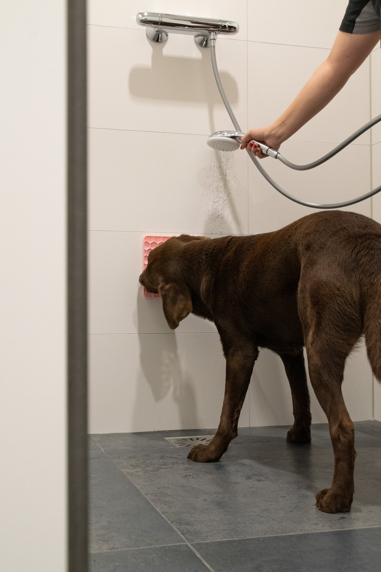 Eat Slow Live Longer Lick Mat Honeycomb Roze