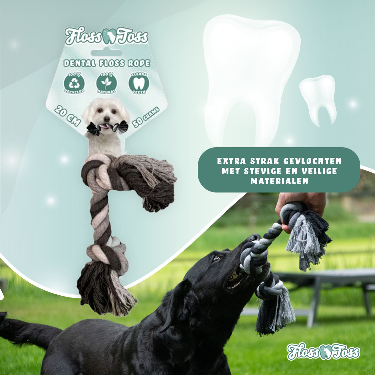 Floss Toss Dental Rope 2 Knot