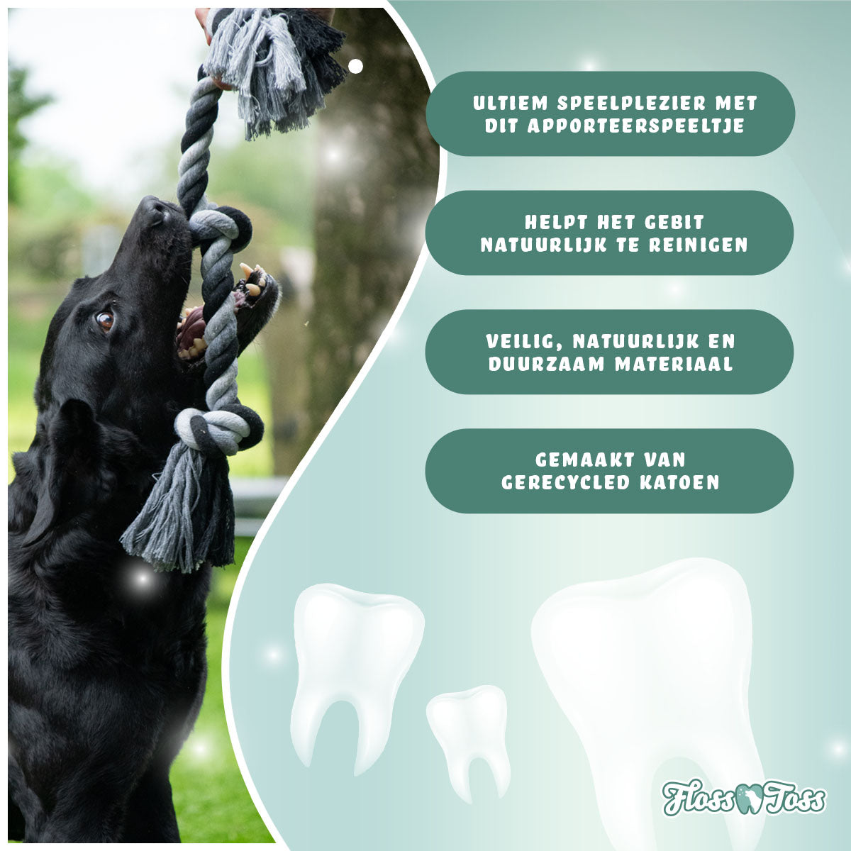 Floss Toss Dental Rope 2 Knot