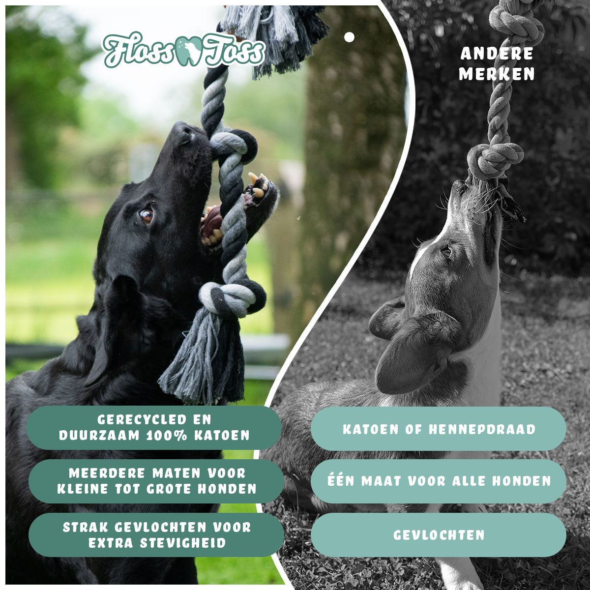 Floss Toss Dental Rope 2 Knot