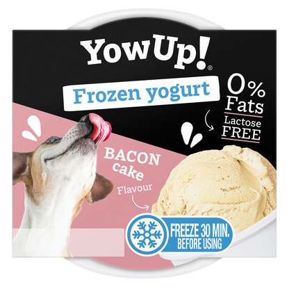YowUp! Frozen Yoghurt Bacon Cake