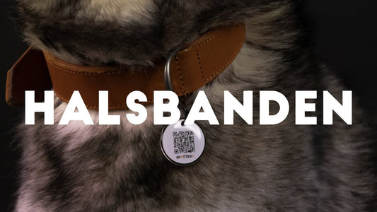 Spotted! Pro Leren Halsband Grijs 2,5 x 50 cm
