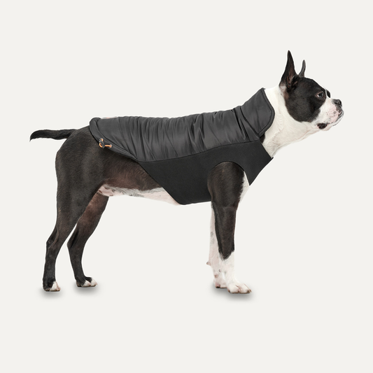 Goo-eez Mock Neck Signature Wrap Jacket S Zwart