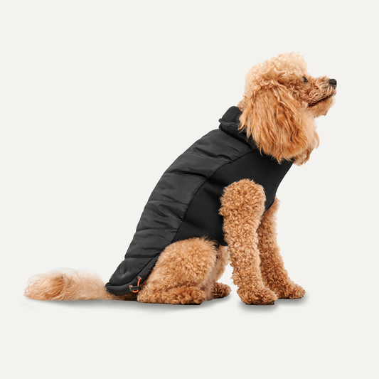 Goo-eez Mock Neck Signature Wrap Jacket S Zwart