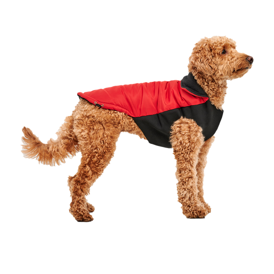 Goo-eez Mock Neck Signature Wrap Jacket S Rood/Zwart