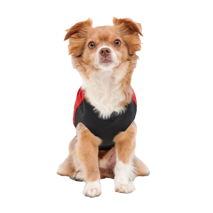 Goo-eez Mock Neck Signature Wrap Jacket S Rood/Zwart