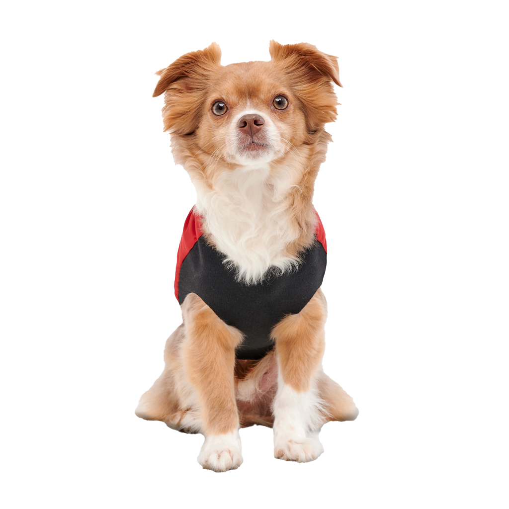 Goo-eez Mock Neck Signature Wrap Jacket L Rood/Zwart