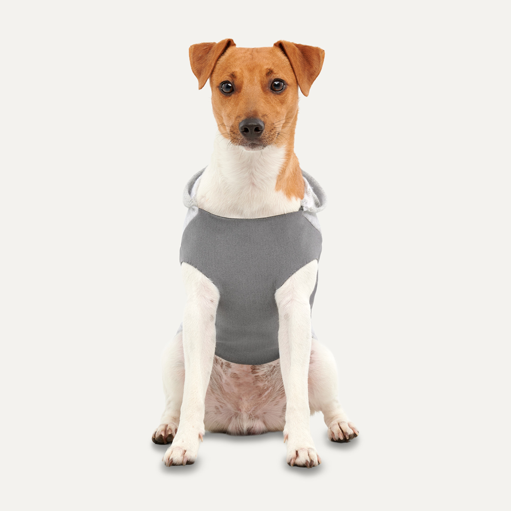 Goo-eez Kangaroo Fleece Hoodie XS Grijs