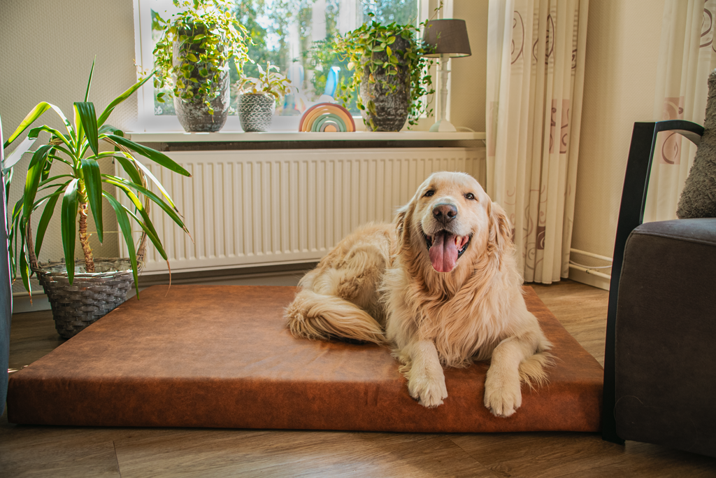 Let's Sleep Mellow Mattress Orthopedisch Kussen M Taupe