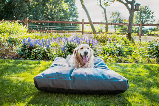 Let's Sleep Cushy Cloud Hondenkussen Buiten L Anthraciet
