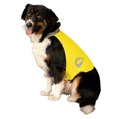Nightwalk Safety Vest Geel L