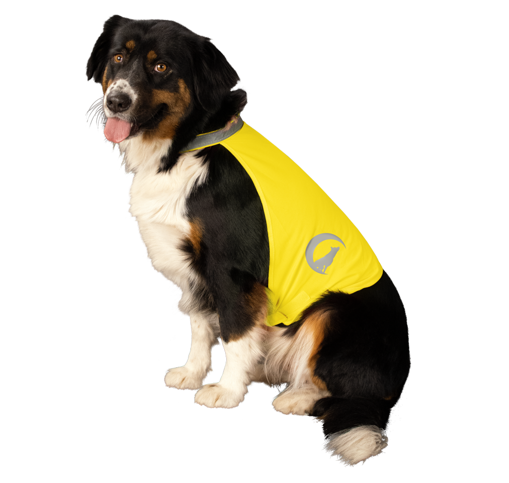 Nightwalk Safety Vest Geel L