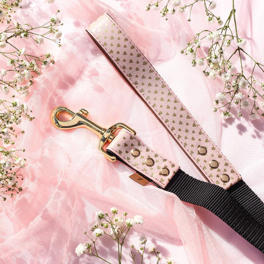 FriendshipCollar Puppy Love Riem 120 cm