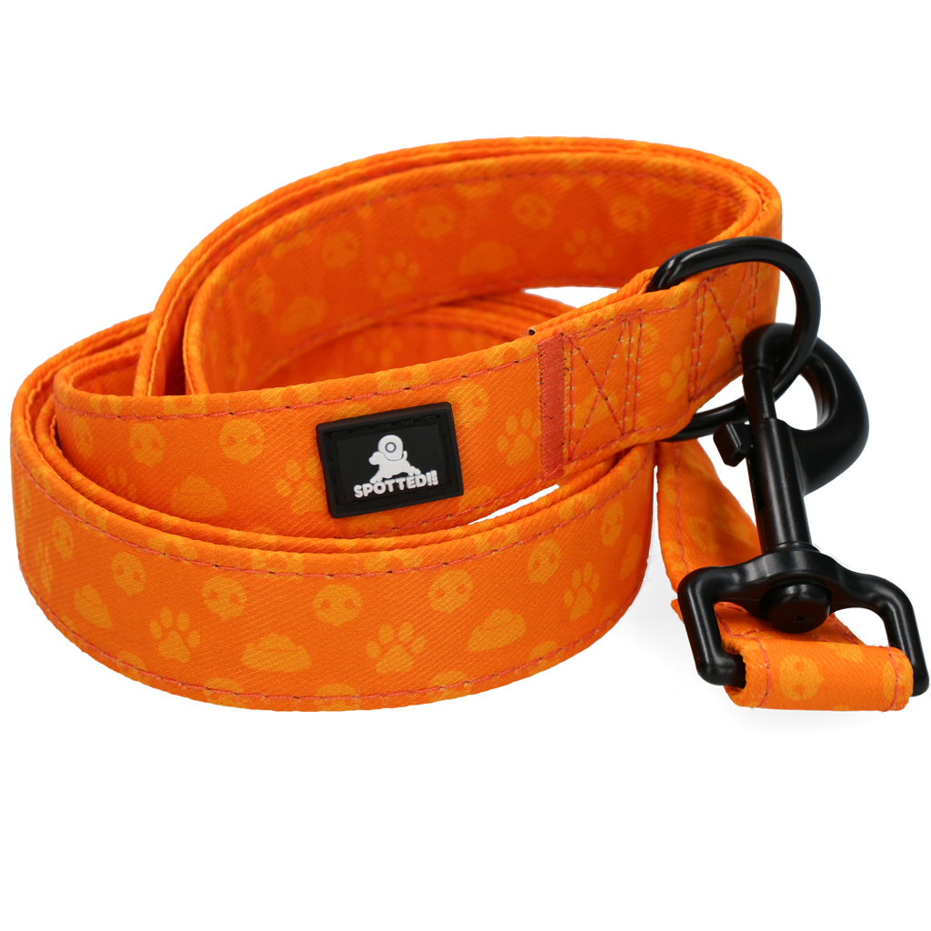Spotted! Pro Perfect Leash 120 cm Oranje