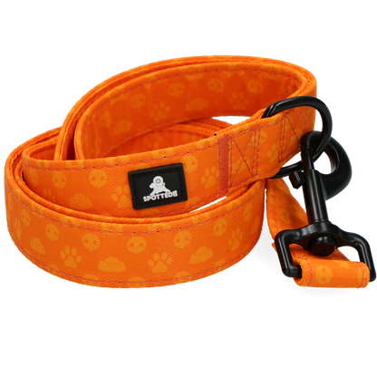 Spotted! Pro Perfect Leash 120 cm Oranje