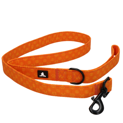 Spotted! Pro Perfect Leash 120 cm Oranje