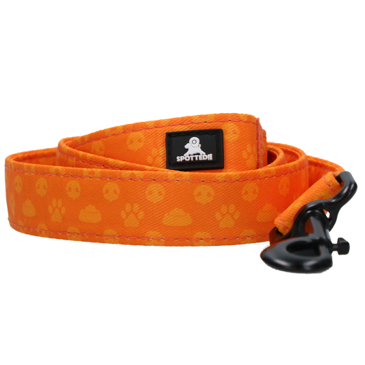 Spotted! Pro Perfect Leash 120 cm Oranje