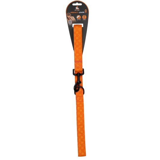 Spotted! Pro Perfect Leash 120 cm Oranje