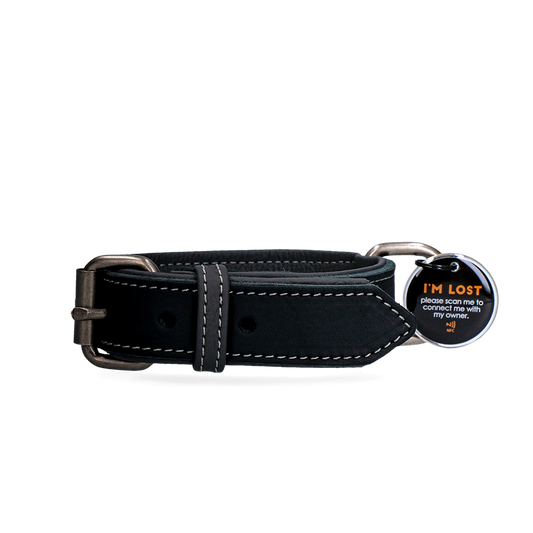 Spotted! Pro Leren Halsband Zwart 2,5 x 50 cm