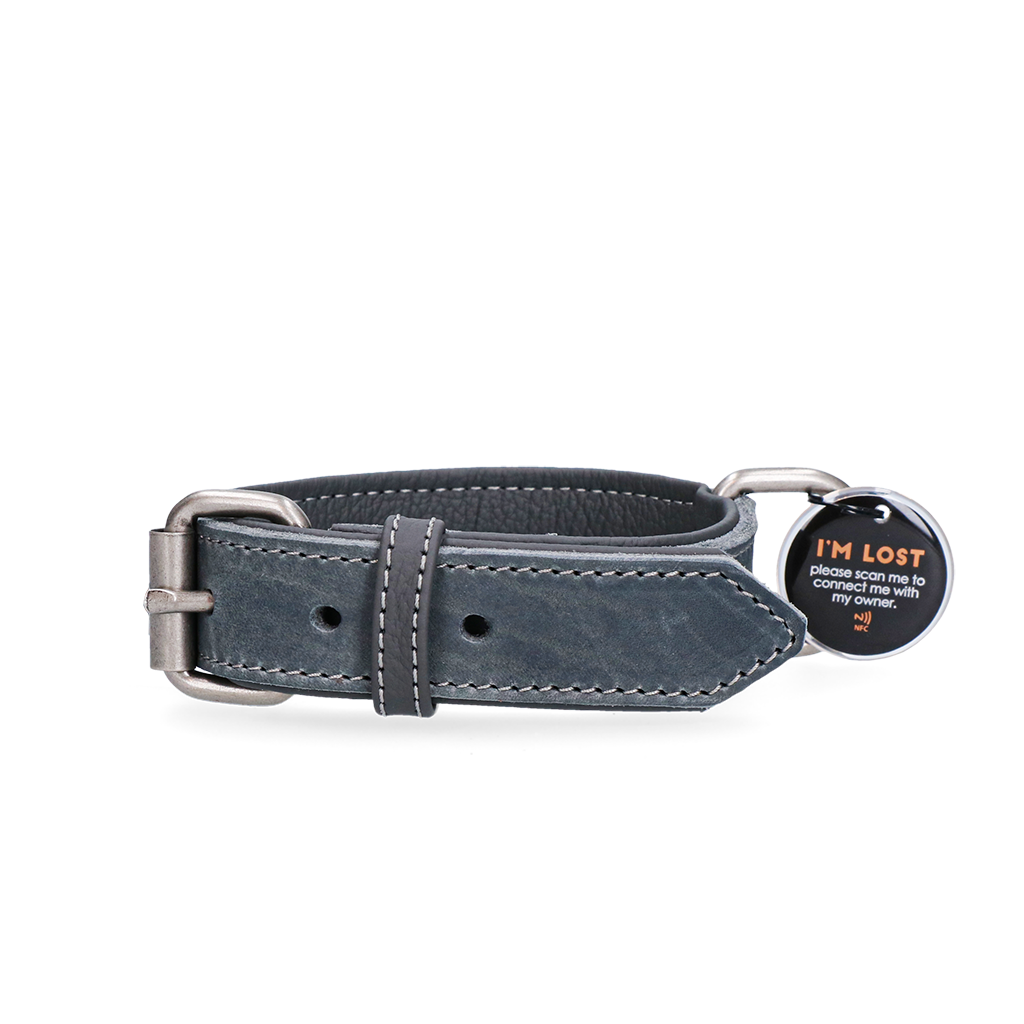 Spotted! Pro Leren Halsband Grijs 2,5 x 50 cm