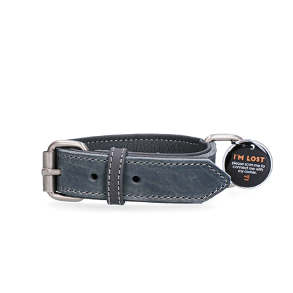 Spotted! Pro Leren Halsband Grijs 2,5 x 50 cm