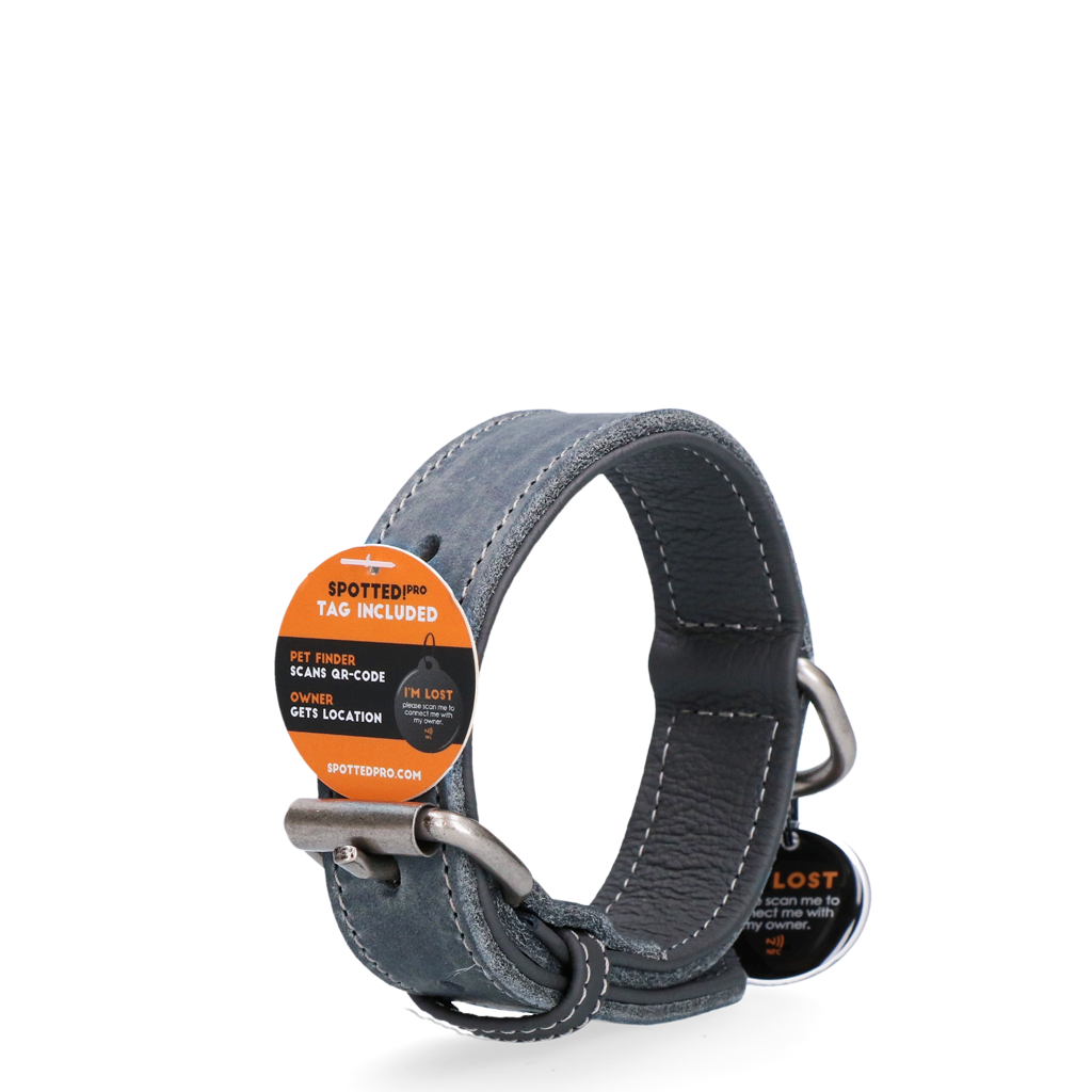 Spotted! Pro Leren Halsband Grijs 2,5 x 50 cm