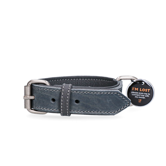 Spotted! Pro Leren Halsband Grijs 2,5 x 45 cm