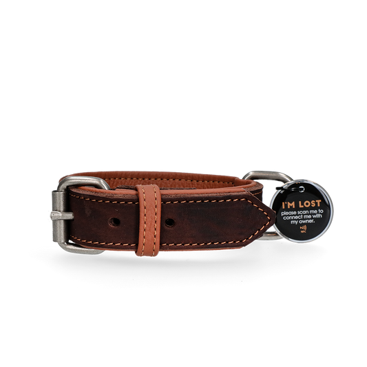 Spotted! Pro Leren Halsband Bruin 2,5 x 50 cm