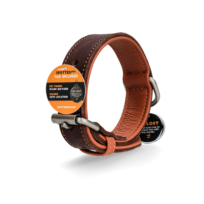 Spotted! Pro Leren Halsband Bruin 2,5 x 40 cm