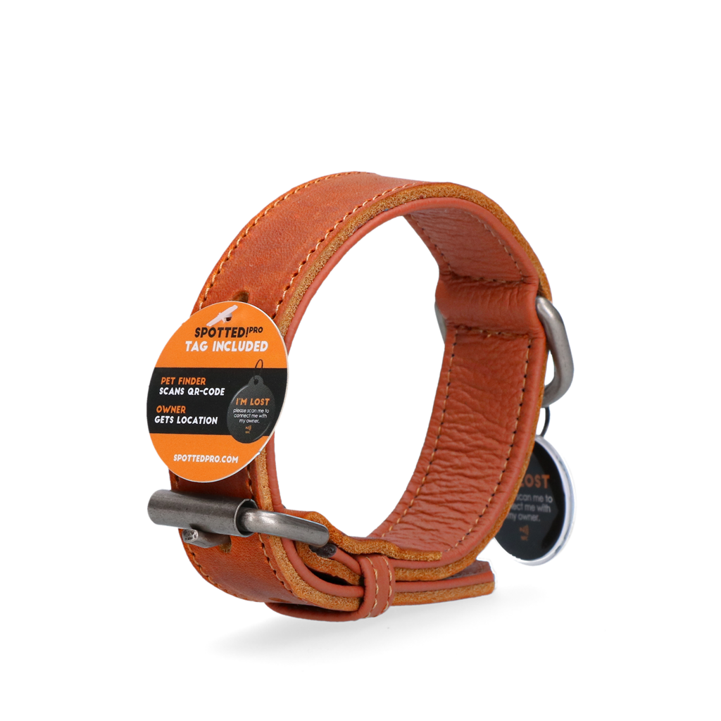 Spotted! Pro Leren Halsband Cognac 2,5 x 45 cm