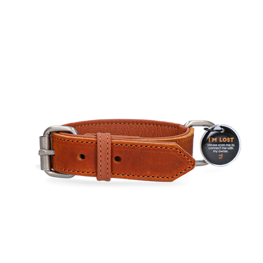 Spotted! Pro Leren Halsband Cognac 2,5 x 45 cm