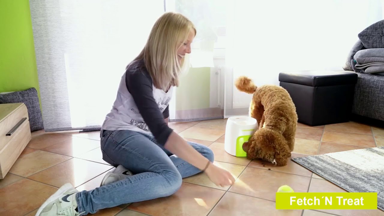 AFP Interactives Fetch'N'Treat 2nd Generation